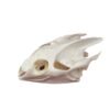 Real animal skull specimens home decor collectibles fox skulls turtle skulls snake bones
